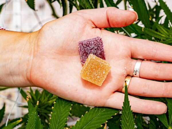 Explore Edibles