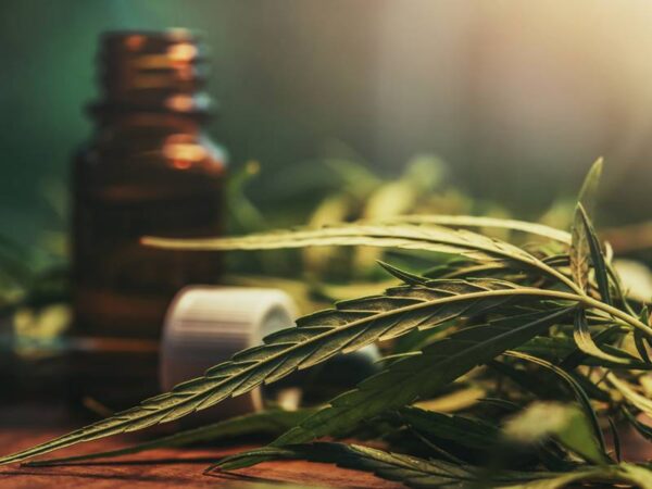 Which Weed Dispensary Should I Choose in Southeast Michigan?