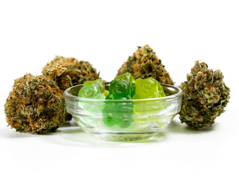 Which Dispensary Near Me Offers the Best Customer Service?