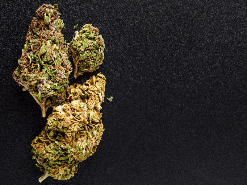 Where is the Best Weed Dispensary By Redford Township, MI?