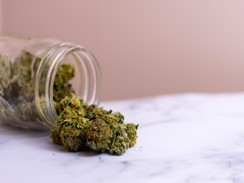 What Makes a Dispensary Near Garden City, MI Different?